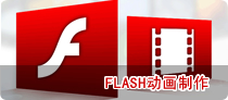 FLASH(dng)